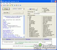 Look at screenshot of ABC Amber PDF Converter