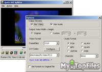Look at screenshot of Quick AVI Splitter