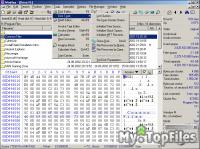 Look at screenshot of WinHex